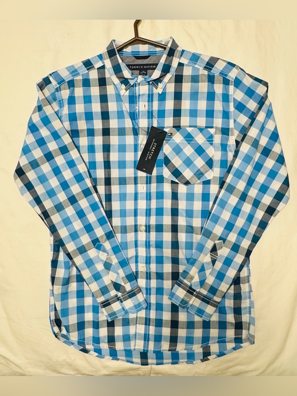 Tommy Hilfiger Youth Light & Navy Blue Check Button-Down Shirt